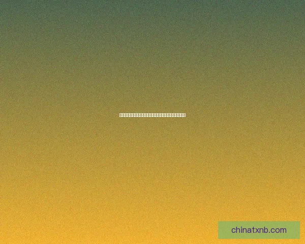 剑与远征终局之夜：跨越时空的终极决战与命运的终焰之旅