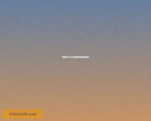 如何购买DNF资料袋及其获取途径详细指南